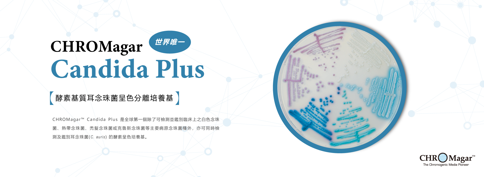 CHROMagar Candida plus