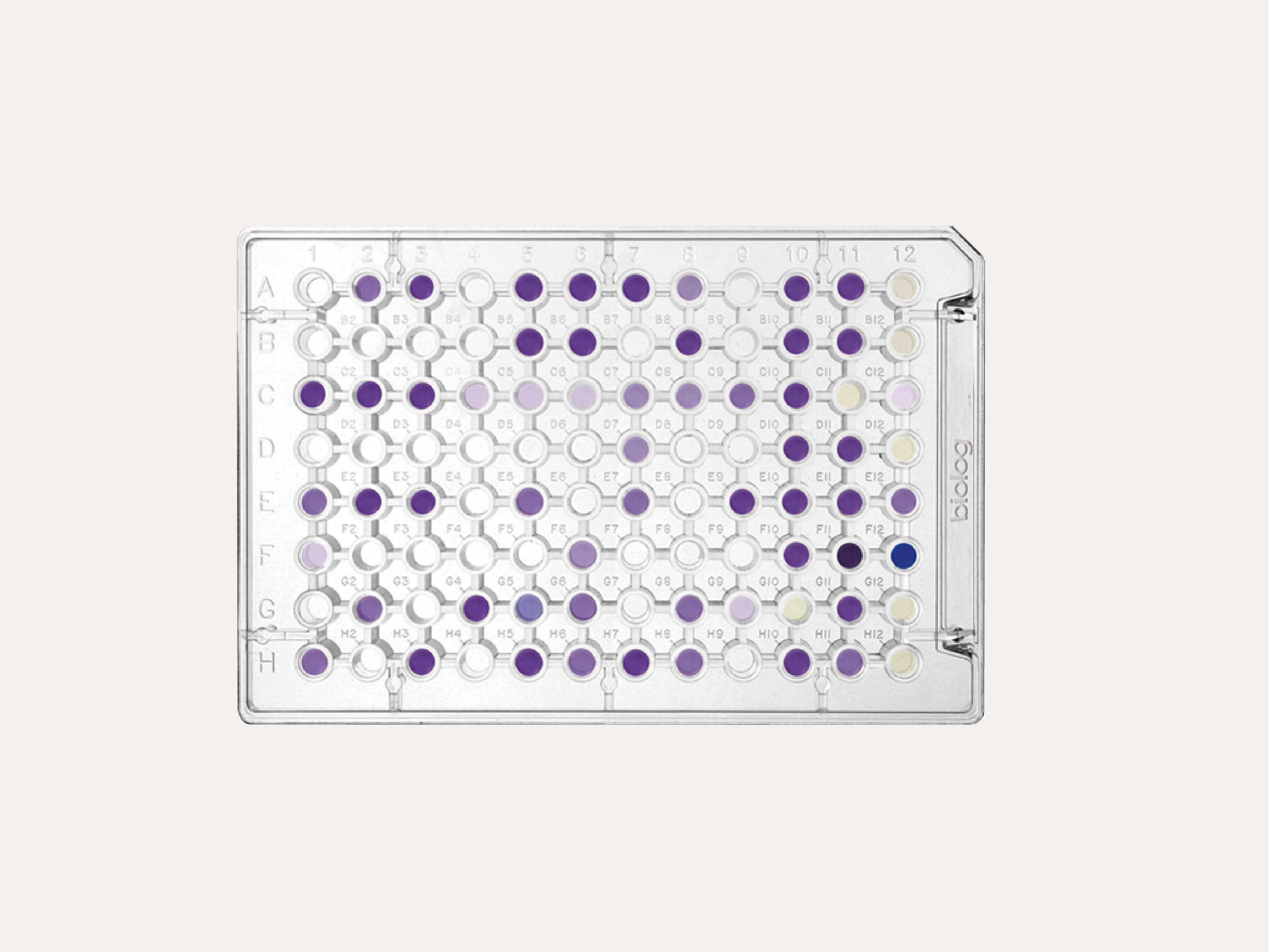 微生物鑑定96孔培養盤