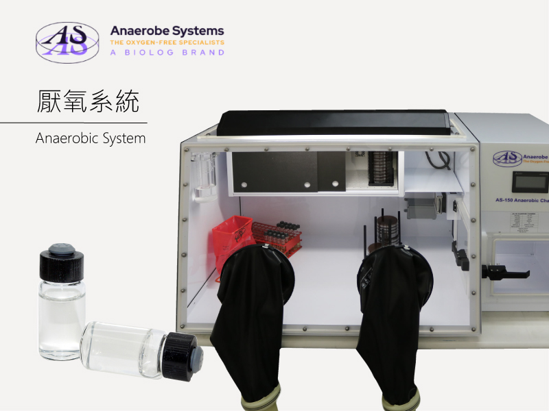 厭氧系統